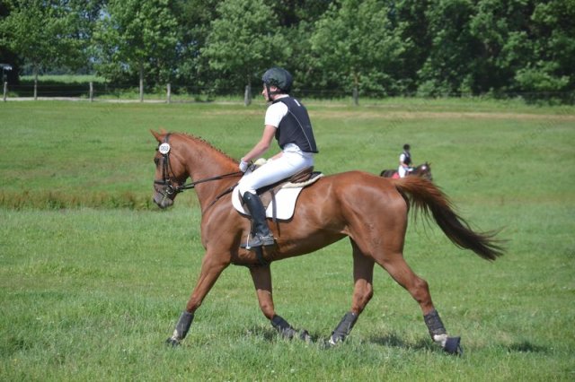 reitertag 2013 272